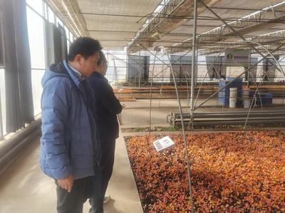 陜西省農機技術體系專家調研楊凌果蔬育苗企業(yè)探討育苗機械需求情況