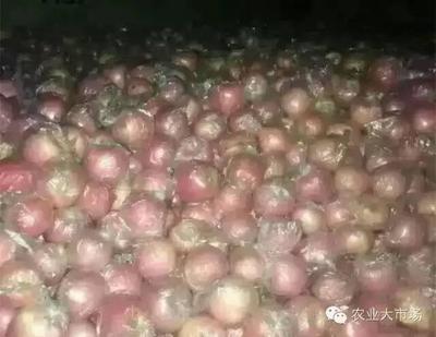 大農推送| 會員供求信息(2016年第七期) - 今日頭條(www.toutiao.com)