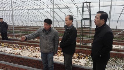 陜西省林木種苗站站長謝君朝赴渭南市調研檢查林木種苗工作