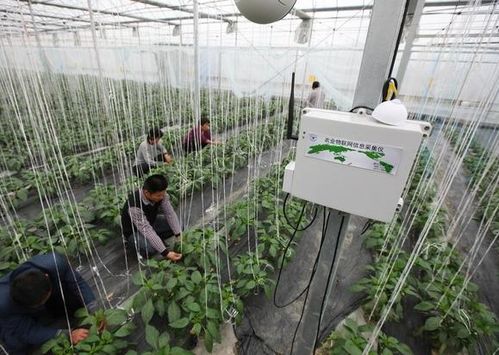 一篇文章讓你看懂互聯網 農業是什么 前景如何