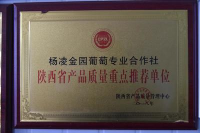 春耕生產(chǎn)看三秦|陳敏儒的&ldquo;育苗經(jīng)&rdquo;