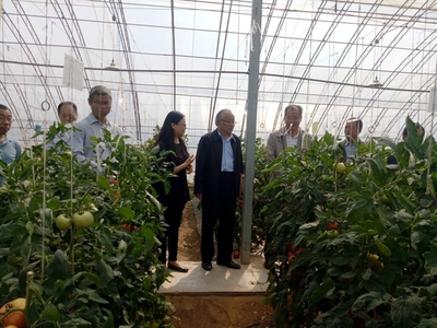 【園藝學(xué)院】2021年陜西省番茄育種聯(lián)合體新品種展示觀摩會(huì)在閻良舉辦